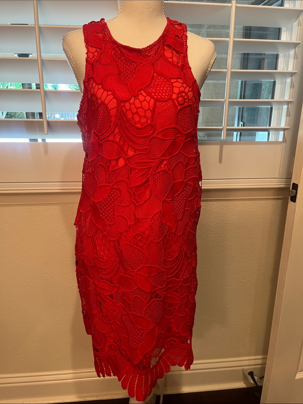 Lovers + Friends Red Floral Lace Mini Dress